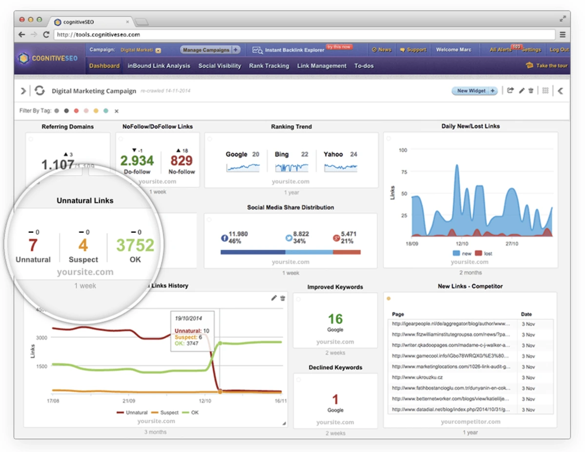 Backlink analysis overview in CognitiveSEO